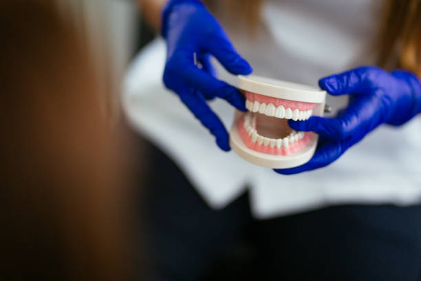 Reliable Balcones Heights, TX  Holistic Dental Services Solutions